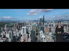 Introducción de la compañía